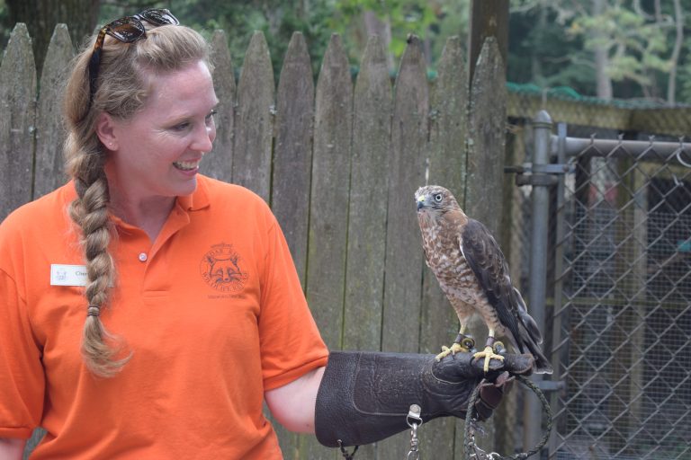 Cedar Run Wildlife Refuge offers internship program