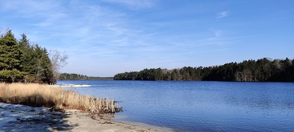 Scotland Run Park will host Nature at Night presentations for public