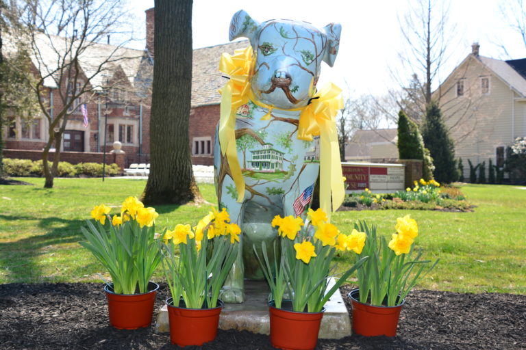 Daffodil Day in Moorestown