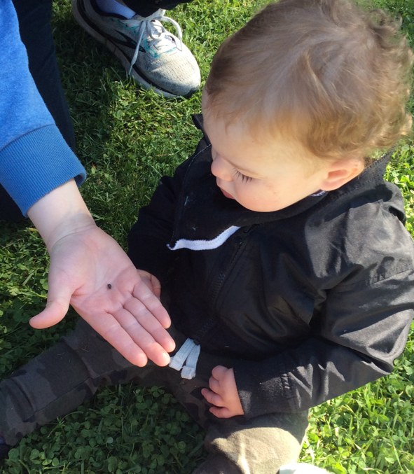 Moorestown’s Chesterbrook Academy Preschool celebrates Earth Day