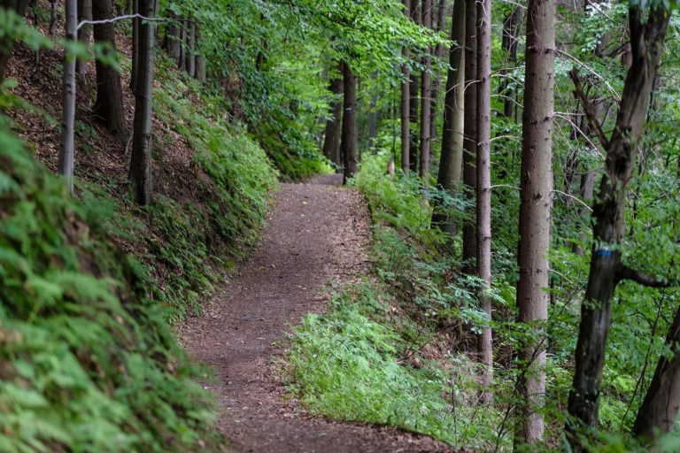 Cherry Hill Township celebrates National Trails Day