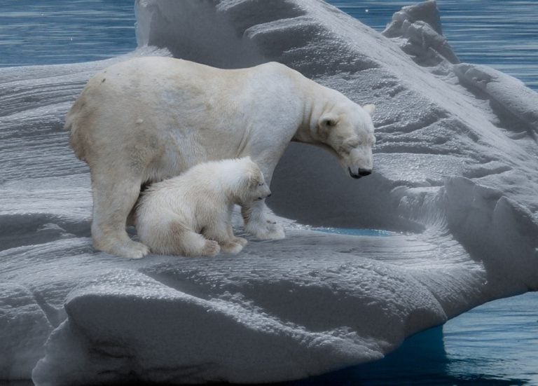 Climate change in South Jersey is the featured topic at Richwood Academy Cultural Center