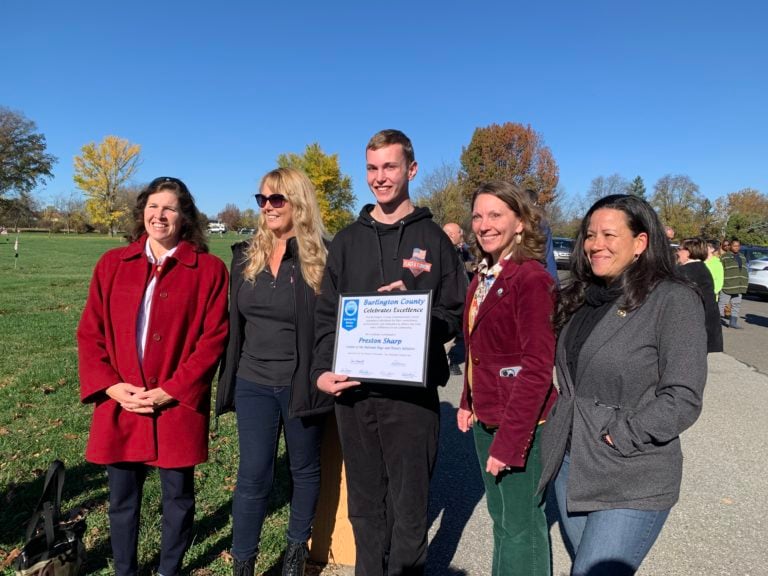 Teen honors veterans at Lakeview Memorial Park