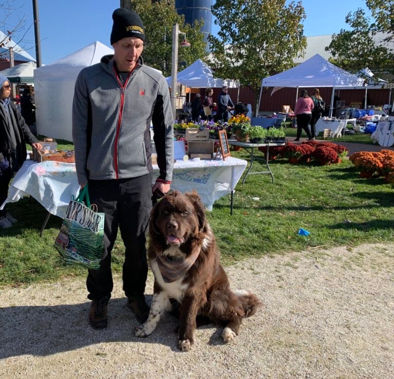 County’s farm market season called a success