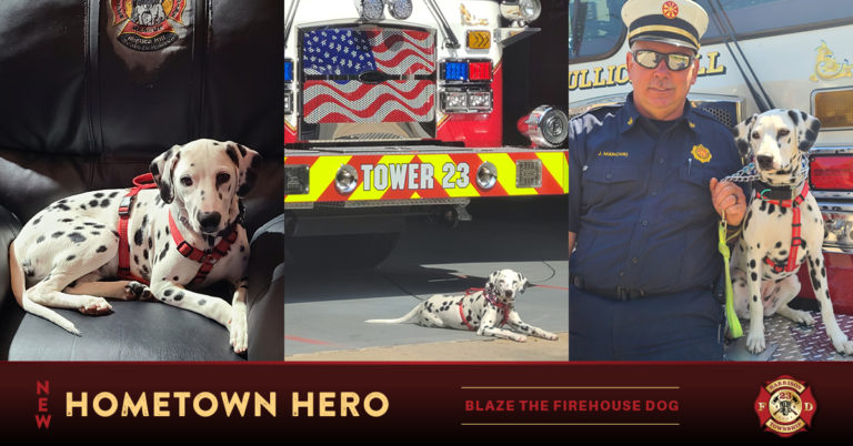 Fire Department presents new firehouse dog