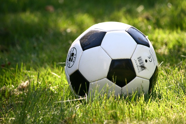 Youth soccer starting in September