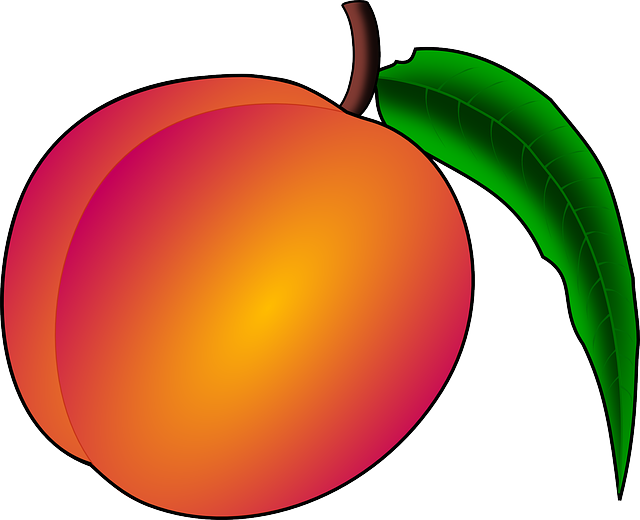 Richwood UMC’s Peach Festival