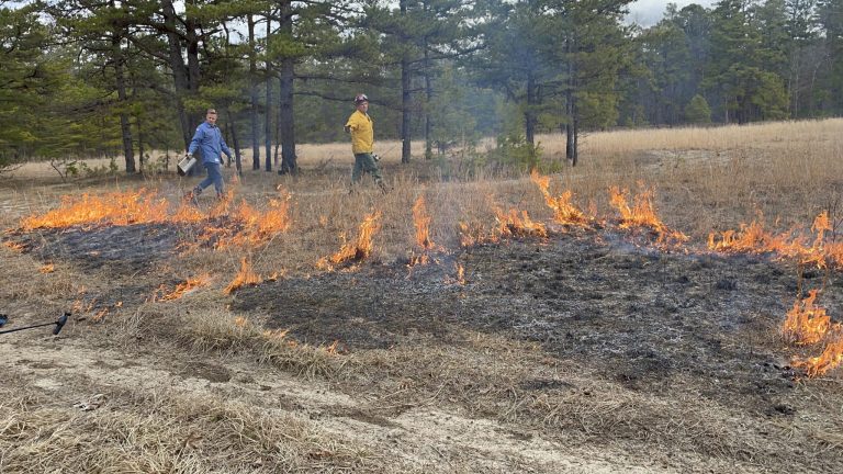 ‘Busiest fire season in more than a decade’