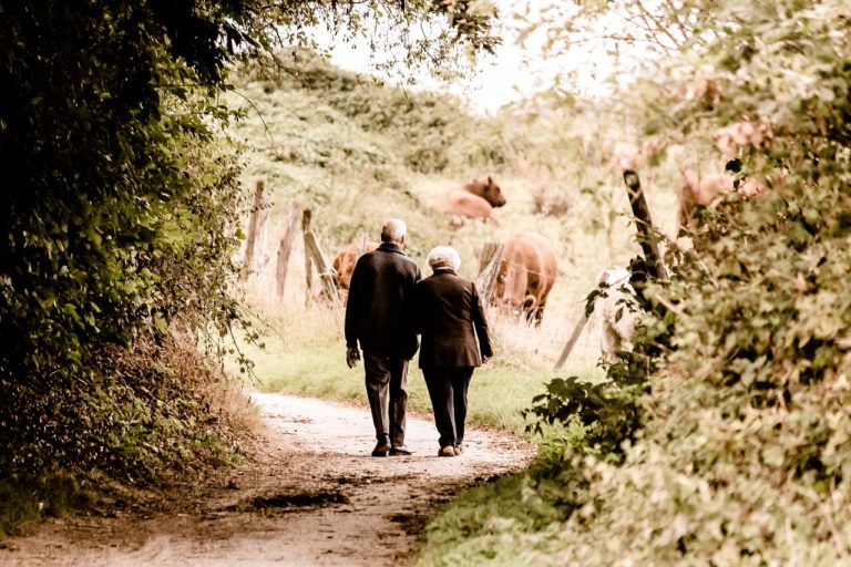 Active Adults walking tour