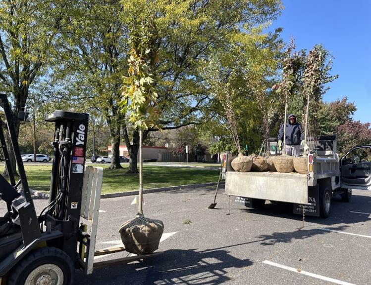 County celebrates second annual tree planting initiative