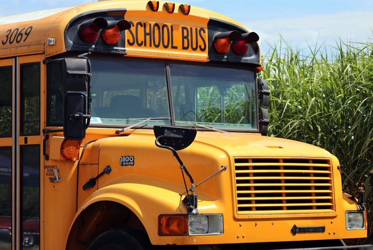 Back-to-school pedestrian safety tips