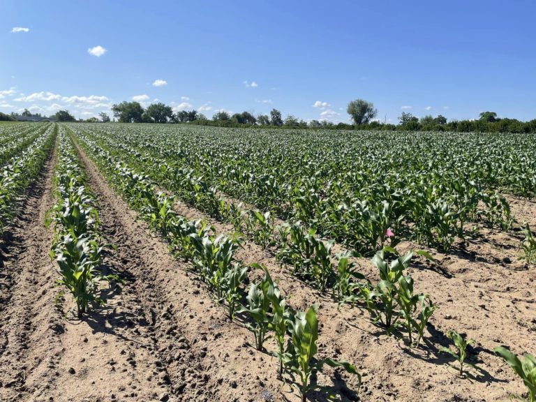 Burlington County Commissioners take step to preserve another 1,200 acres of farmland