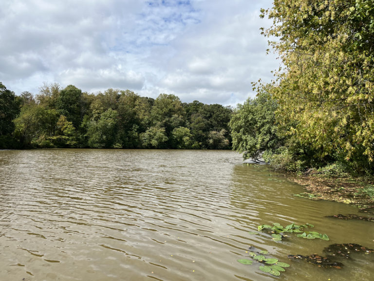 Self-service kayak units headed for Strawbridge Lake