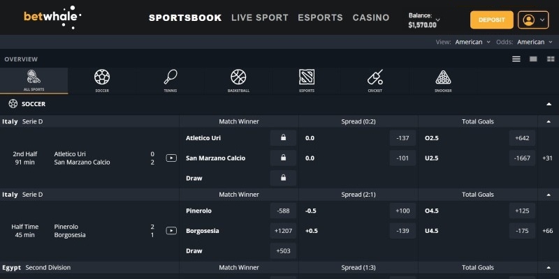 Betwhale Sports(1)