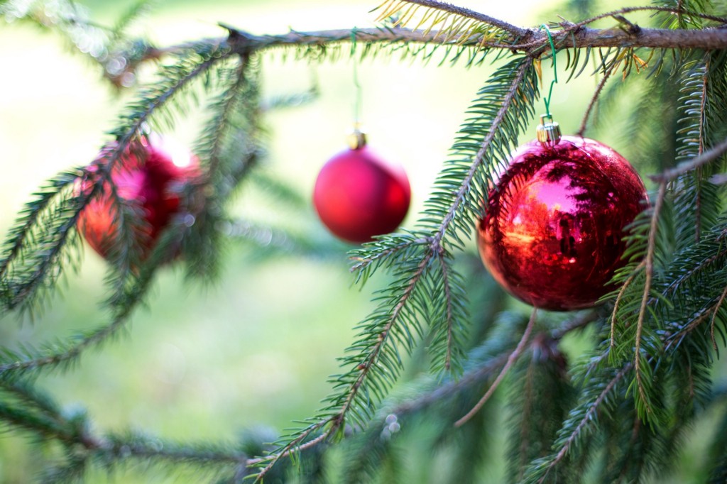 Get Festive Holiday Happenings In And Around Burlington Township