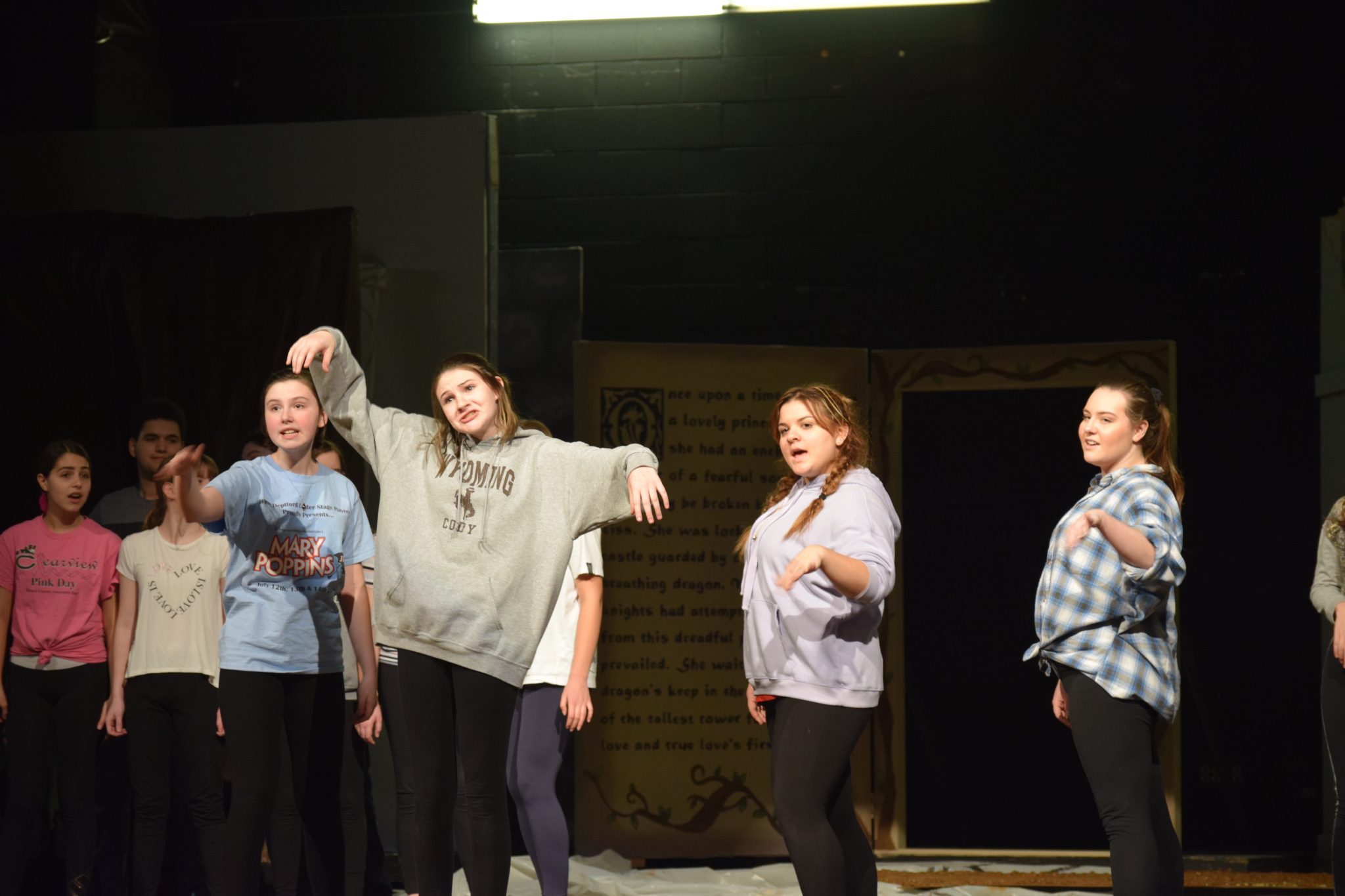 Clearview Regional Prepares For Shrek The Musical The Sun